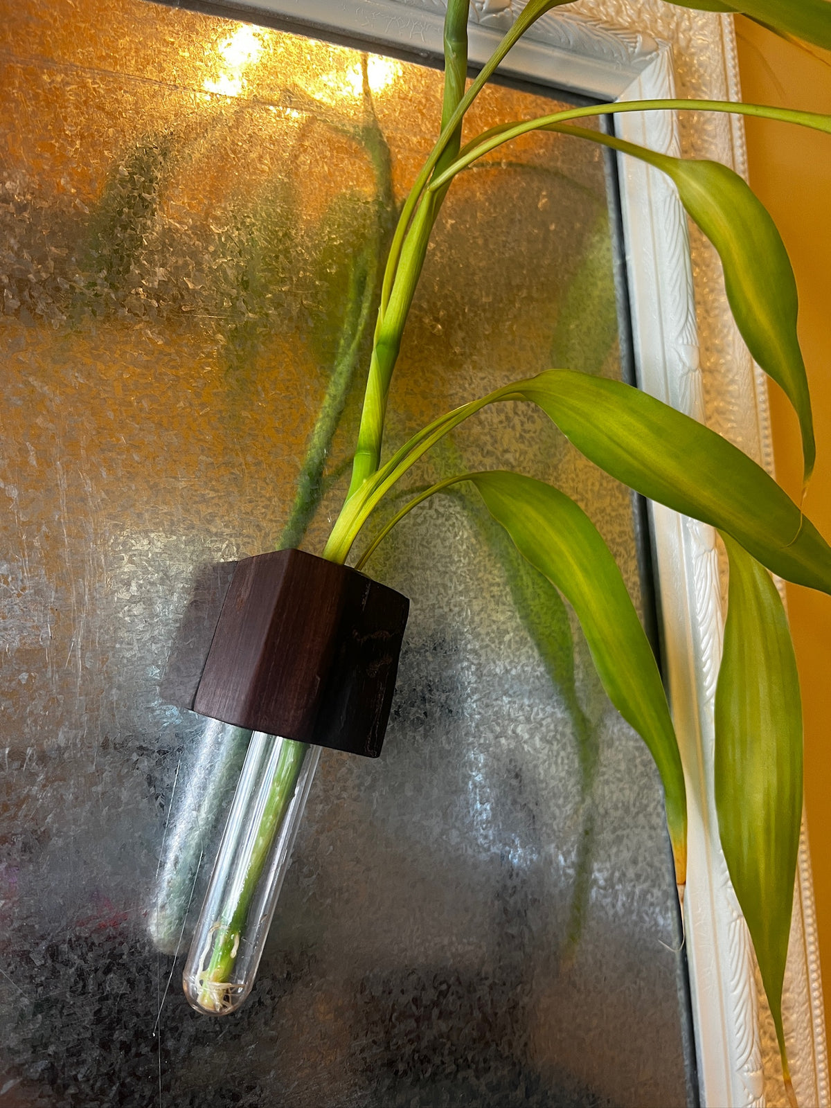 Magnetic Walnut Vase